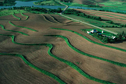 Steeply sloped cropland with a series of terraces. Photo courtesy USDA NRCS.
