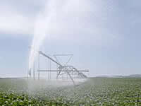 Center pivot irrigation 