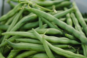 Green beans in white bucket.