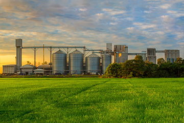 Line of feed silos in green field with sunset in the background.