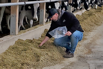 Man putting a sample of feed in plastic bag with black and white cows lined up to eat.