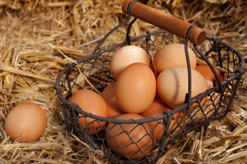 Wire basket containing brown eggs on a pile of straw