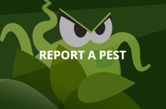 Image of green cartoon pest.