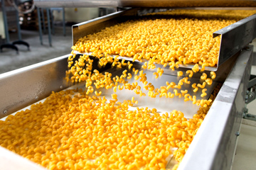 Machine conveying pasta through processing.