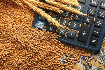 calculator in a pile of grain