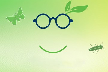 green background with glasses and bugs