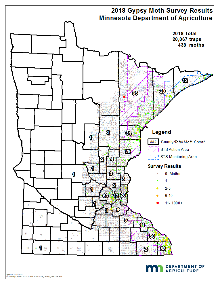Gypsy Moth Survey | Minnesota Department of Agriculture