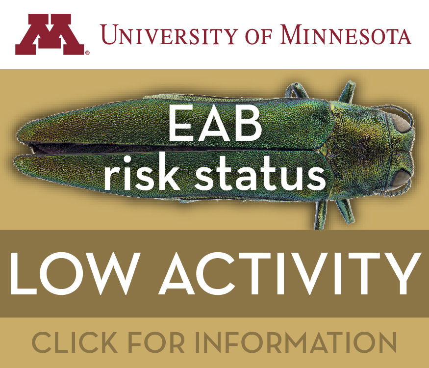 U of M logo for EAB inactive period