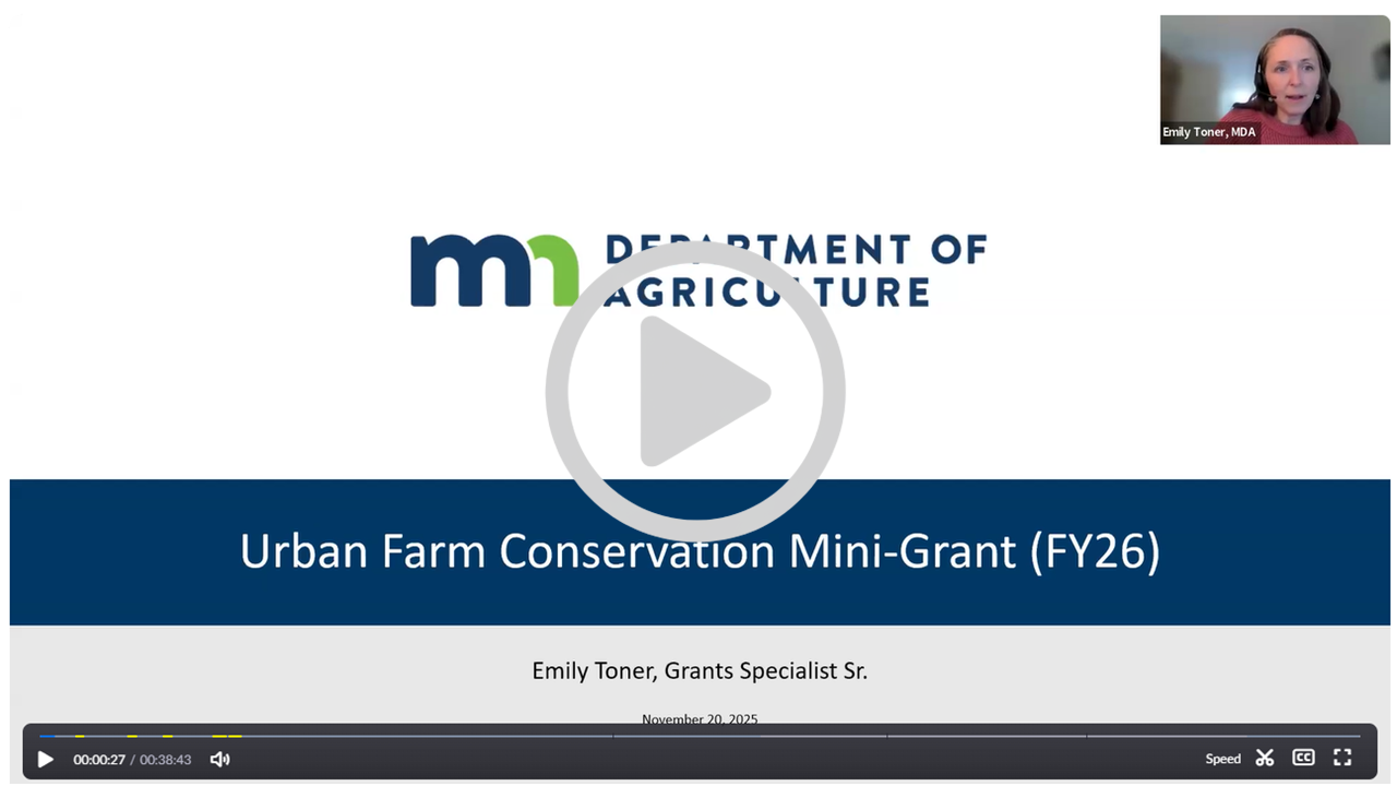 Screenshot of video from online information session