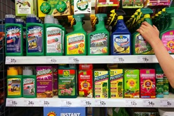 Retail shelf of pesticides