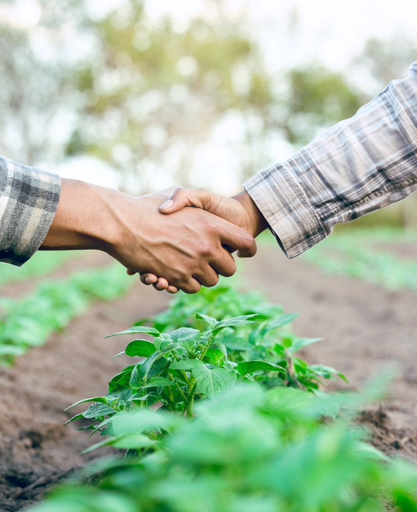 Two farmers shaking hands over a row of planted crops.