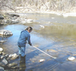 MDA employee collecting a water sample