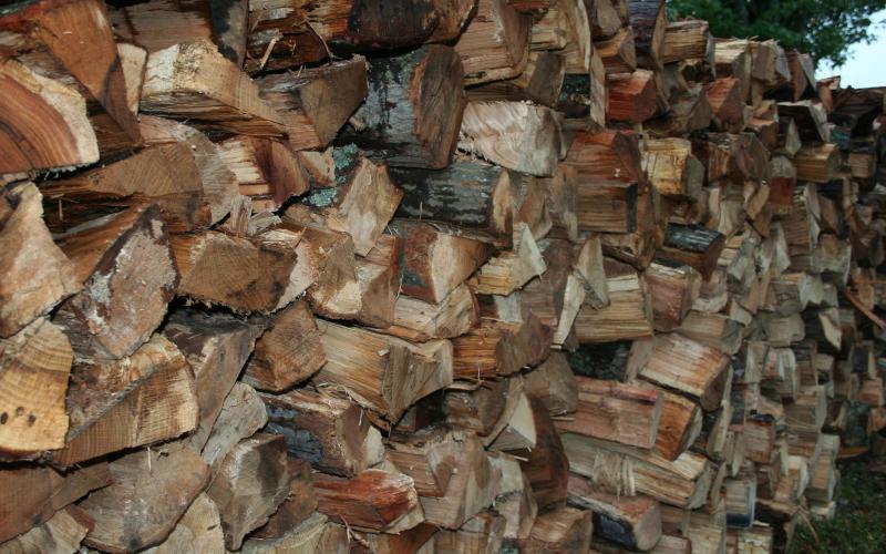 stack of fire wood