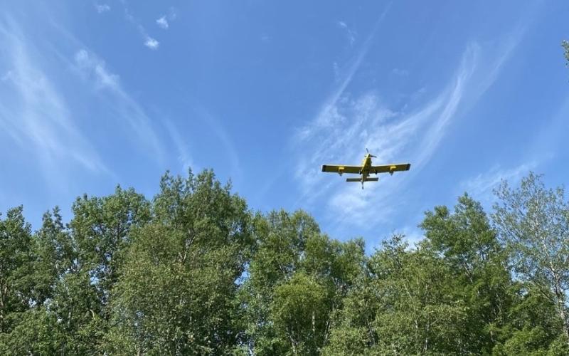 plane flying over trees