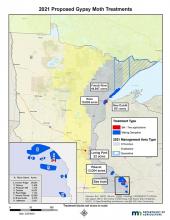 This Minnesota map highlights 13 gypsy moth treatment sites in across the eastern part of the state.