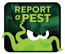 An angry cartoon pest with tenticles under matching text that reads "Report a Pest"